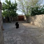 خانه فروشی خاش