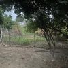 فروش زمین دارای پروانه ساخت