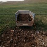 کود گوسفندی تحویل در محل