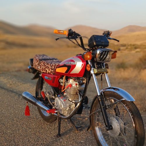 متور150فابریک پلمپ