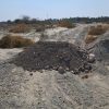 فروش زمین مخصوص خانه باغ
