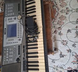 ارگ بزرگ مجلسی