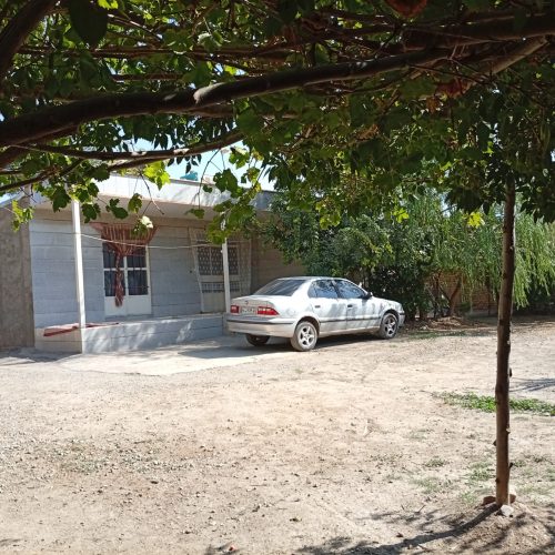 خانه ویلایی دارای باغ