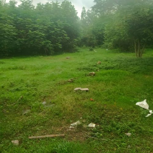 فروش زمین و خانه و بجار