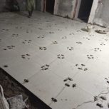 استا کار ساختمان