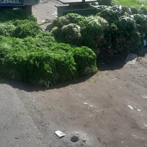 سبزی خورشتی کلی