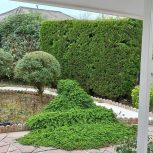 هرسکاری و سمپاشی وعلفتراشی با11سال تجربه کار