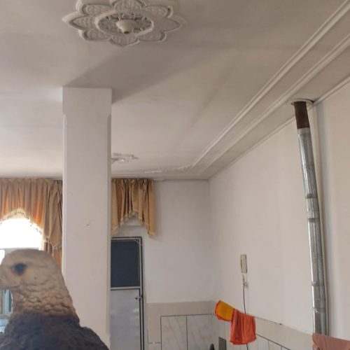 منزل دوواحدی جدا ویلایی