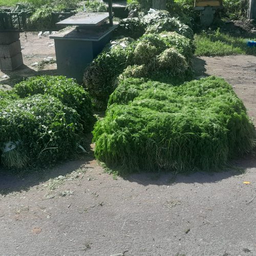 سبزی خورشتی کلی