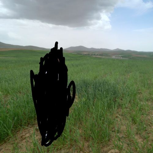 فروش زمین دیم زار