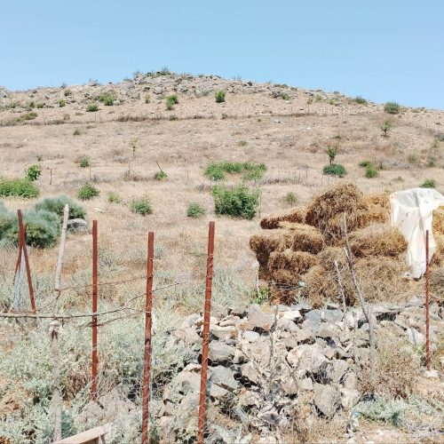 زمین مسکونی داخل طرح املش