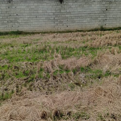 زمین مسکونی