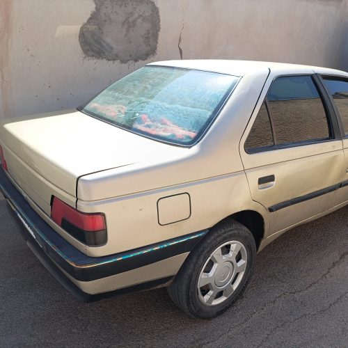 پژو 405 دوگانه