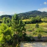 اجاره ویلا وکلبه واستخر مجد دارم