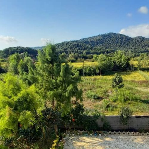 اجاره ویلا وکلبه واستخر مجد دارم