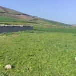 یک قطعه زمین به متراژ257متر مربع