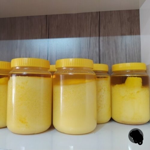 لبنیات محلی