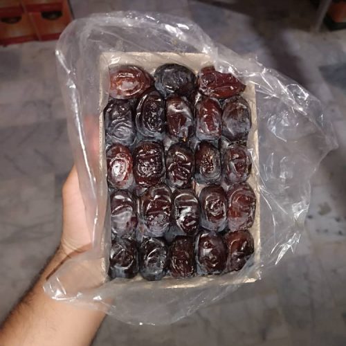 بهرین و عالیترین کیفیت خرمای مضافتی و ربی