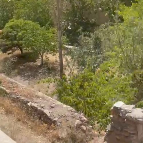 زمین باغی500متری،30متربر خیابان اصلی فشم.سندتک برگ
