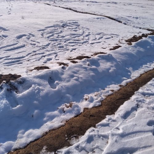 زمین 120 متری در اوغلی