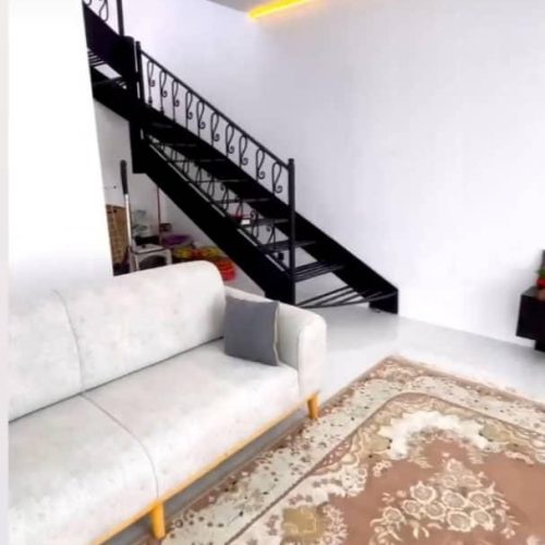 ملک در دست اقدام ماده 100