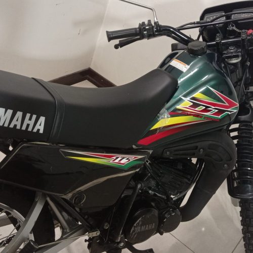 موتور دی تی 175