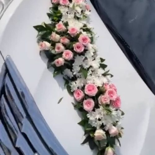 جک شاسی سفید صفر برای مراسم جشن عقد و عروسی و تولد …