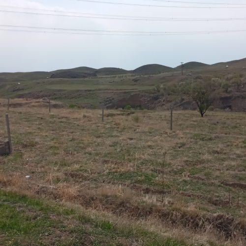 زمین باغی سند معتبر