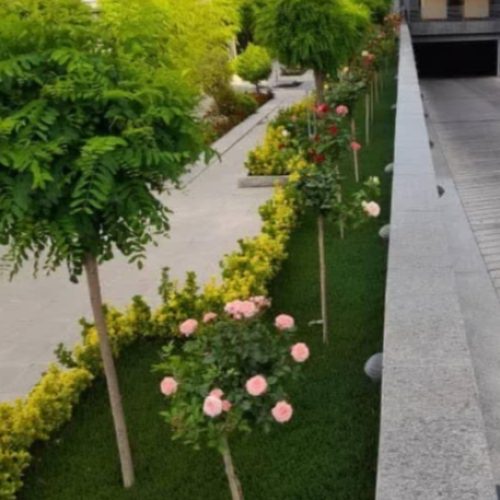 خدمات باغبانی