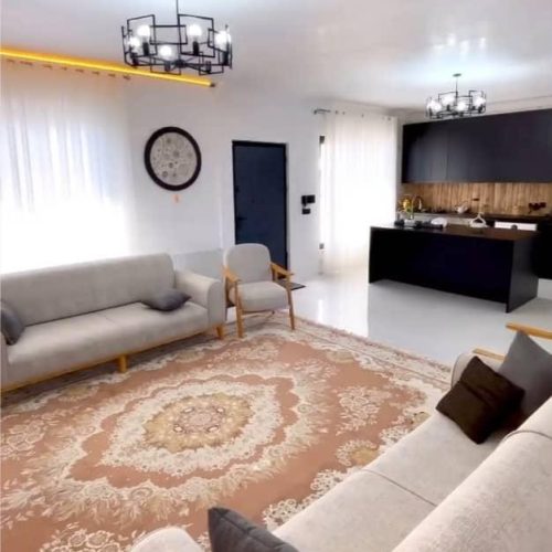 ملک در دست اقدام ماده 100