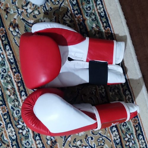 دسکش بوکس
