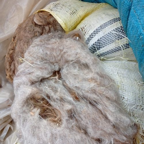 پشم‌گوسفند