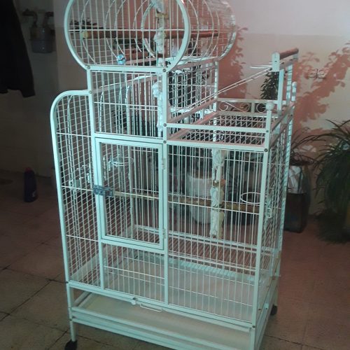قفس بزرگ طوطی شاه نشین