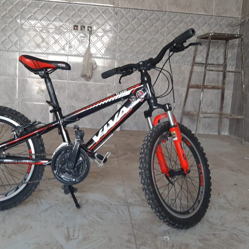 دوچرخه 20ویوا