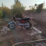 موتور 125ناجی