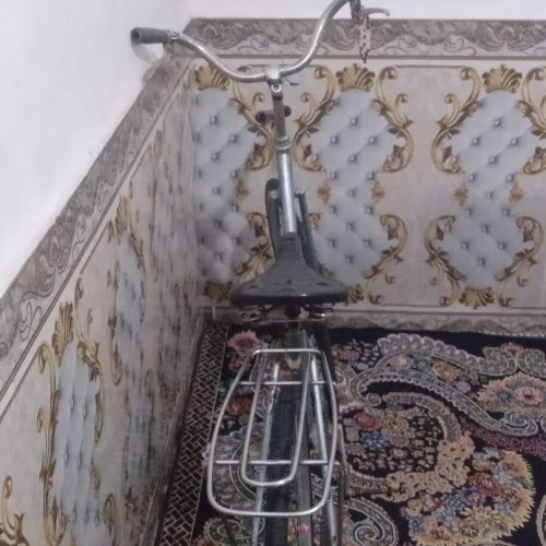 دوچرخه دخترونه بدون دینم