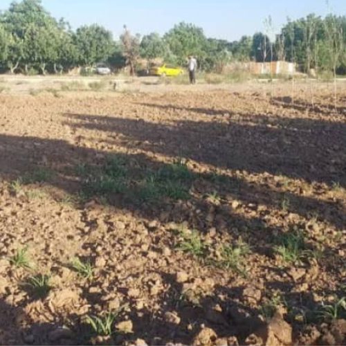 فروش یک قطعه زمین کشاورزی دارای سند تک برگ