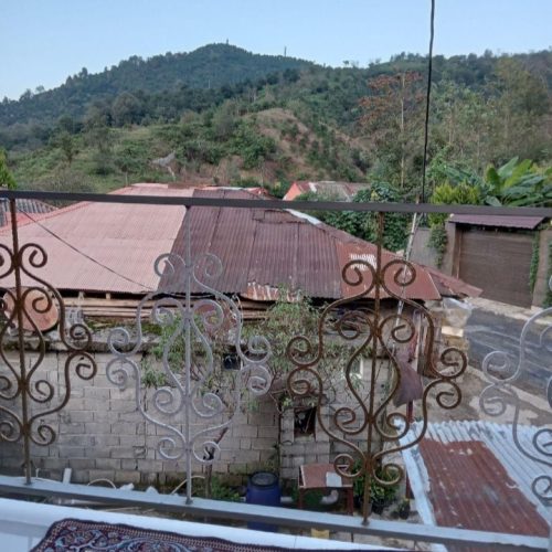 اجاره سوئیت جنگلی