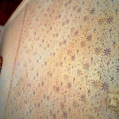 خانیه ولایی