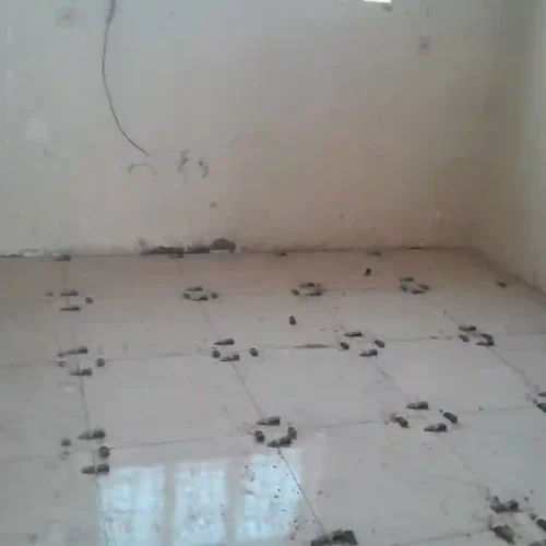 پروژه ساختمانی سنگ کارسرامیک وغیره