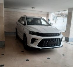 اس دبلیو ام /SWM g01f