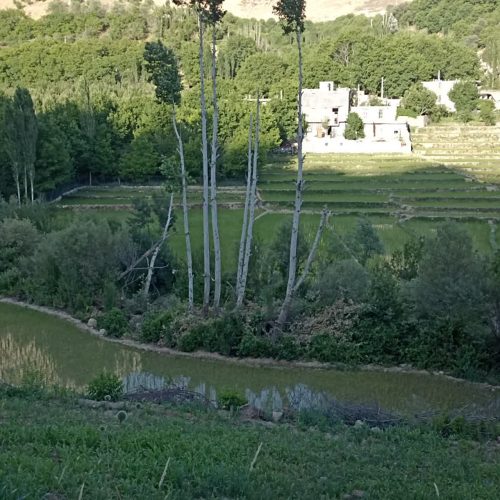 فروش زمین کشاورزی