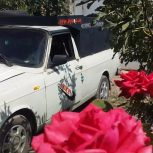 وانت باروحمل بارتلفنی مرند