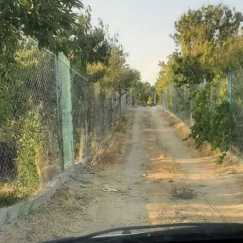 فروش فوری باغ گردو