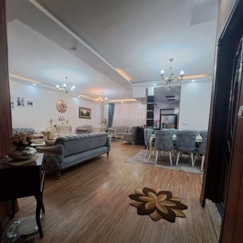 نظافتچی خانوم در منزل