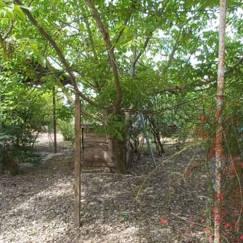 اجاره خانه ویلایی مستقل در خمام