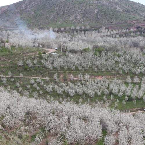 فروش خانه و باغ
