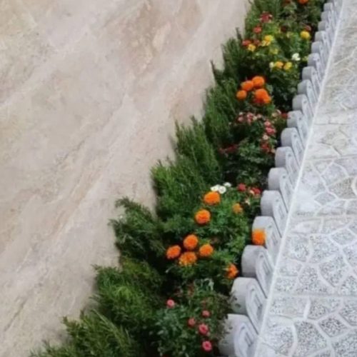 خدمات باغبانی