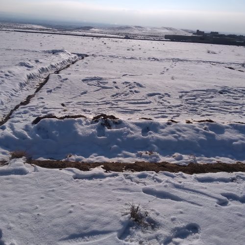 زمین 120 متری در اوغلی