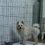 جا ب جا شدم نمیتونم نگه دارم